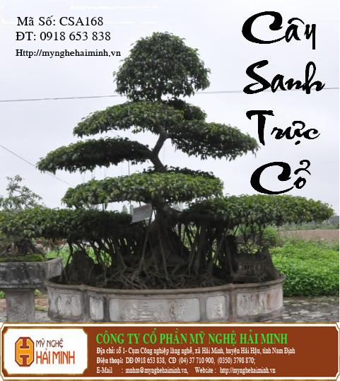 Do go my nghe Hai Minh - Hai Hau - Nam Dinh